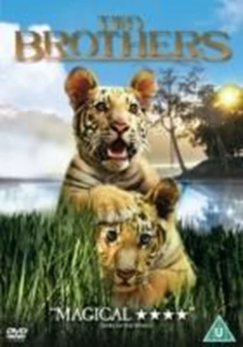 Two Brothers DVD Action & Adventure (2004) Guy Pearce Quality Guaranteed
