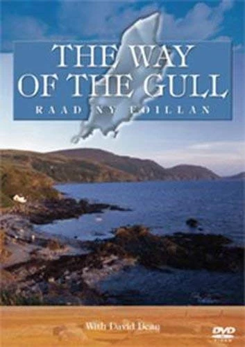 The Way Of The Gull [NTSC] DVD Special Interest (2008) New Quality Guaranteed