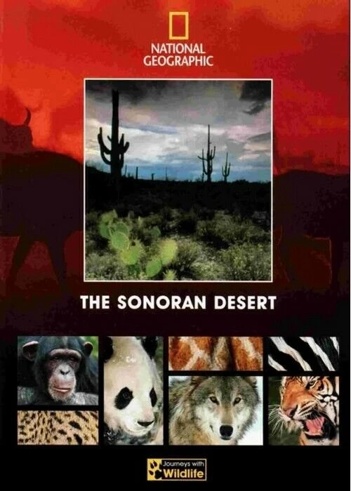 National Gepgraphic: The Sonoran Desert DVD (1997) Quality Guaranteed