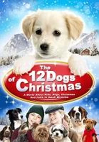 12 Dogs of Christmas DVD Children's & Family (2012) John Billingsley
