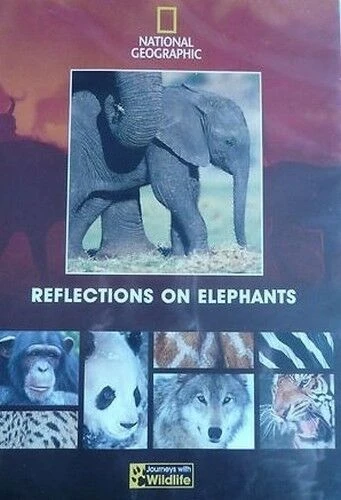 Reflections On Elephants DVD (2004) New Quality Guaranteed Reuse Reduce Recycle