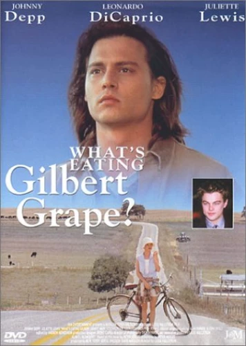 Gilbert Grape DVD (1993) Johnny Depp Quality Guaranteed Reuse Reduce Recycle