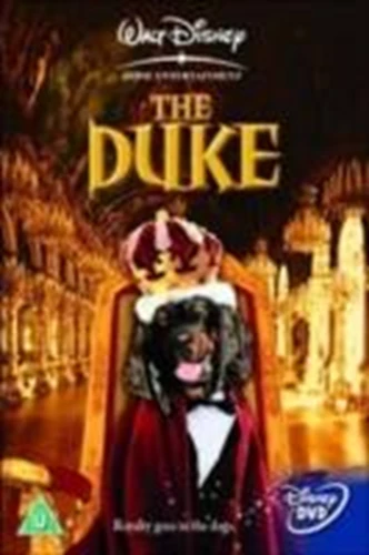 The Duke DVD Comedy (2004) Winnie Cooper New Quality Guaranteed Amazing Value