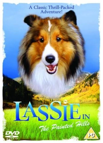 Lassie In The Painted Hills DVD Children (2006) Paul Kelly Quality Guaranteed
