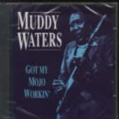 Muddy Waters - Muddy Waters CD (1994) New Audio Quality Guaranteed Amazing Value