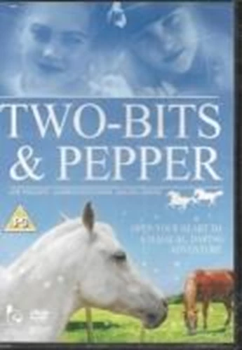 Two Bits And Pepper DVD Drama (2005) Joe Piscopo Quality Guaranteed