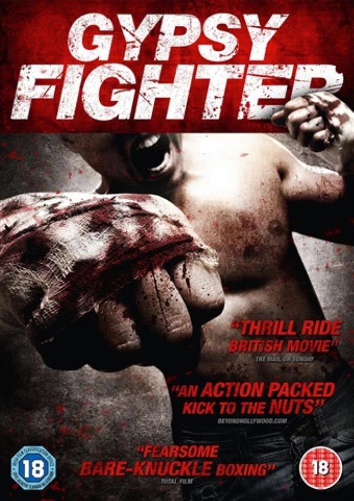 Gypsy Fighter DVD (2010) Quality Guaranteed Reuse Reduce Recycle Amazing Value