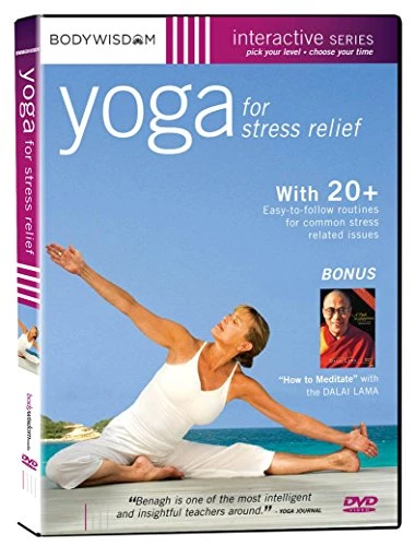 Yoga For Stress Relief DVD Exercise & Fitness (2008) Barbara Benagh