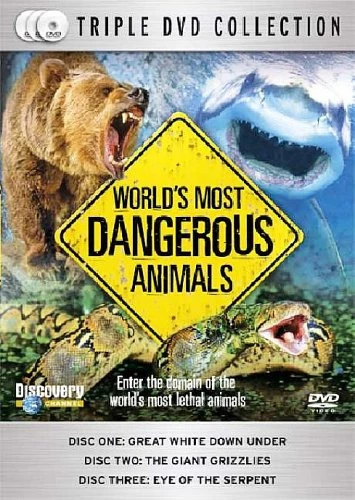 World's Most Dangerous Animals DVD Special Interest (2007) New Amazing Value