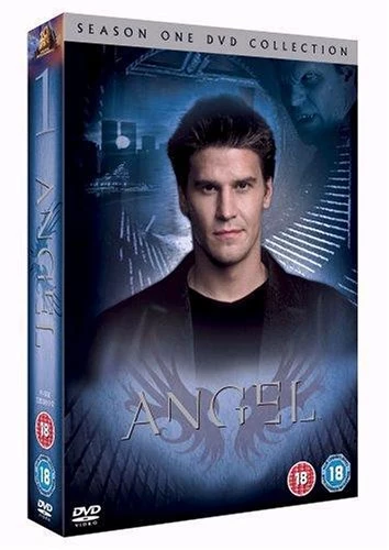 Angel - Season 1 DVD Horror (2005) David Boreanaz Quality Guaranteed