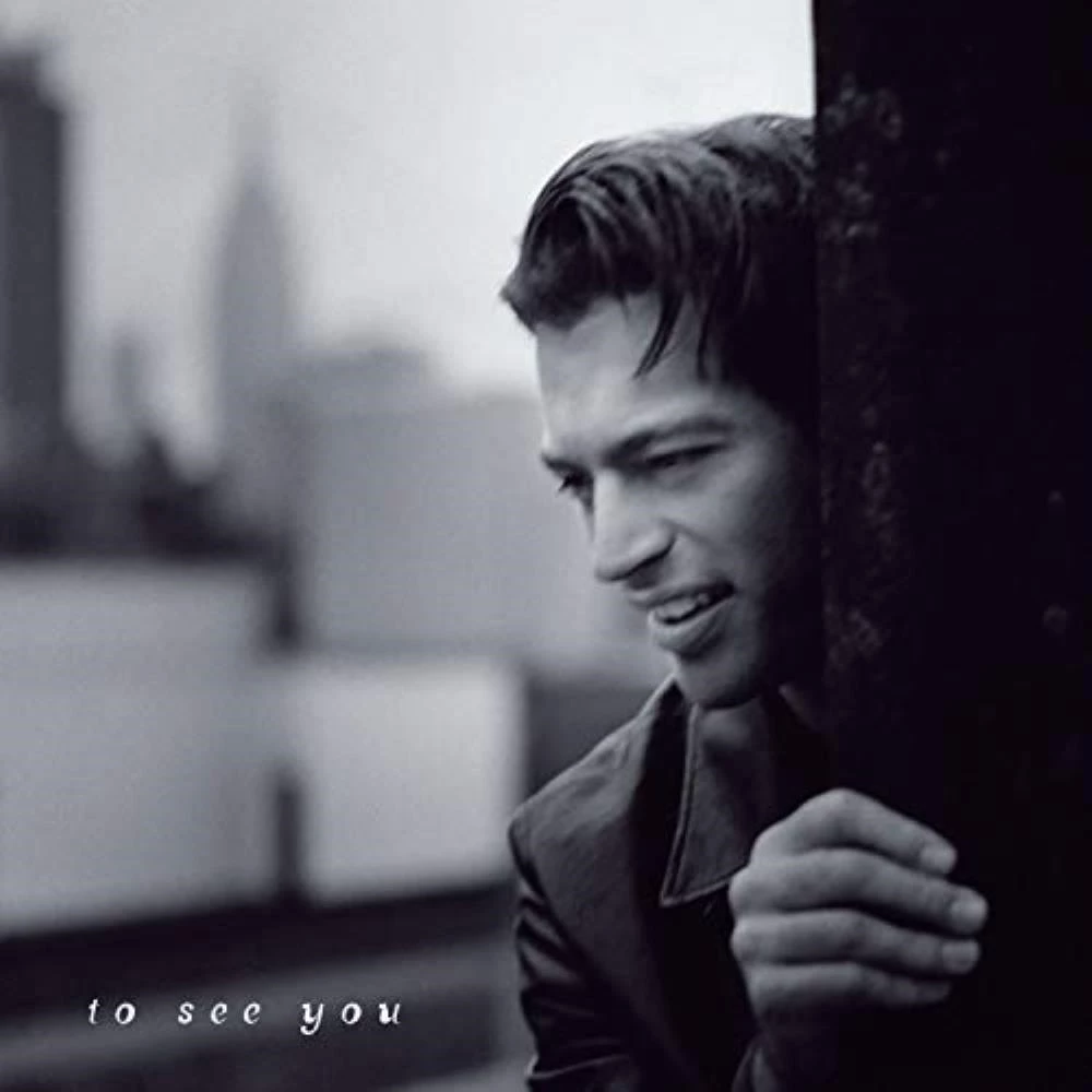 Harry Connick Jr - To See You CD (1997) Audio Quality Guaranteed Amazing Value