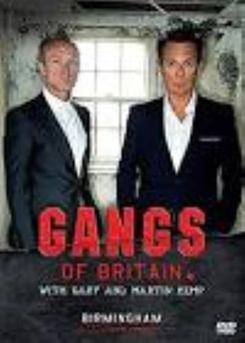 Gangs of Britain: Birmingham DVD Special Interest (2015) Gary Kemp Amazing Value