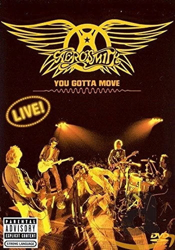 You Gotta Move DVD Musicals & Broadway (2004) Aerosmith Quality Guaranteed