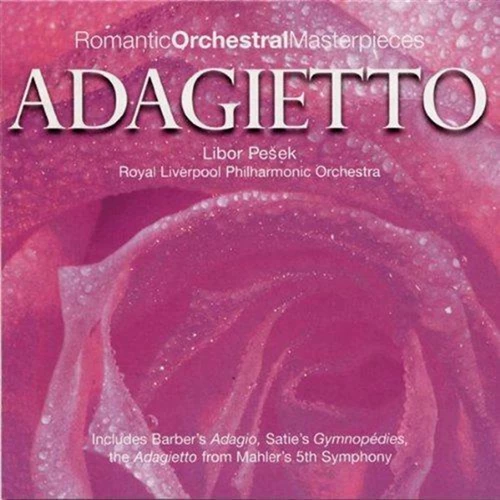 Various - Adagietto - Romantic Orchestral Music CD (2007) Audio Amazing Value