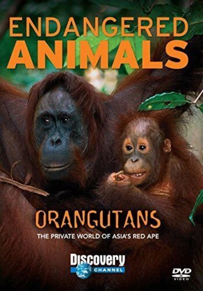 Orangutans: Endangered Animals DVD (2008) Quality Guaranteed Amazing Value