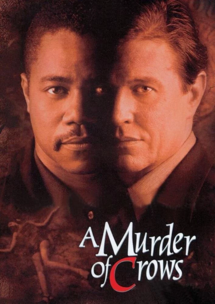 A Murder of Crows DVD Drama (1998) Eric Stoltz Quality Guaranteed Amazing Value