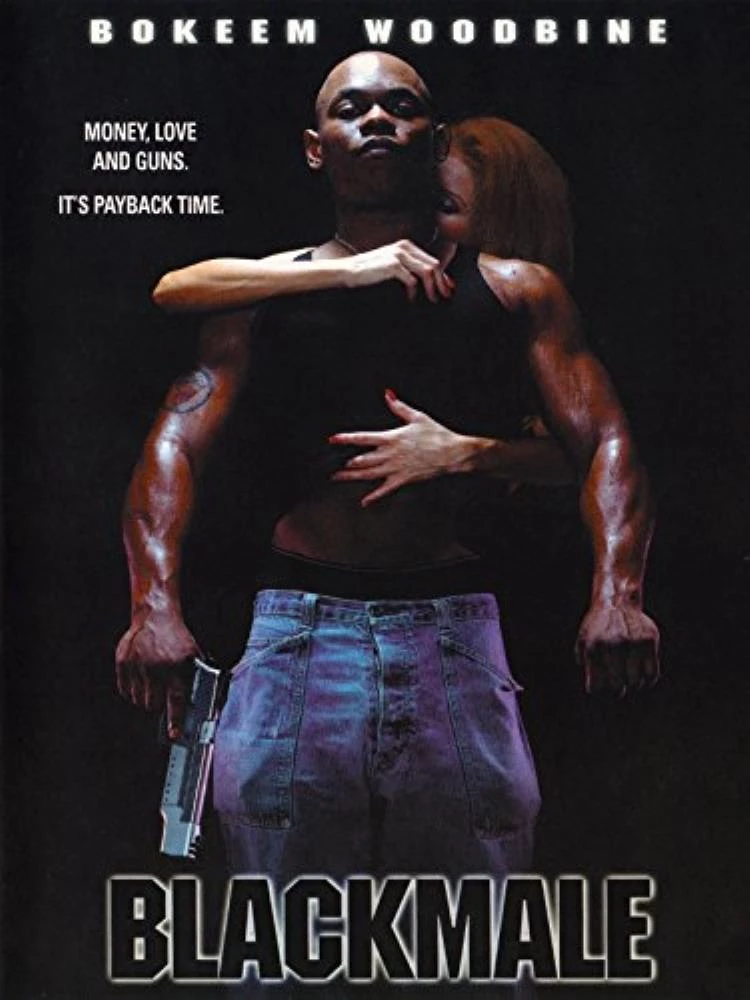 BLACKMALE DVD Quality Guaranteed Reuse Reduce Recycle Amazing Value