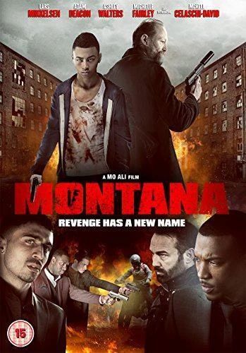 Montana DVD Action & Adventure (2015) Lars Mikkelsen Quality Guaranteed