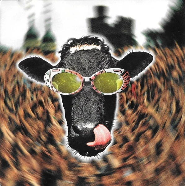 Various - Mad For It CD (1996) Audio Quality Guaranteed Reuse Reduce Recycle