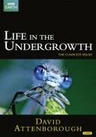 Life in the Undergrowth DVD Documentary (2012) David Attenborough Amazing Value