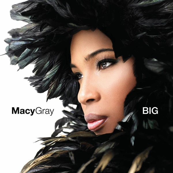 Macy Gray - Big CD (2007) Audio Quality Guaranteed Reuse Reduce Recycle