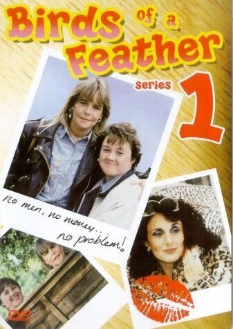 Birds Of A Feather: Series 1 DVD Television (2003) Lesley Joseph New