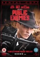 Public Enemies DVD Thriller  (2009) Johnny Depp Quality Guaranteed Amazing Value