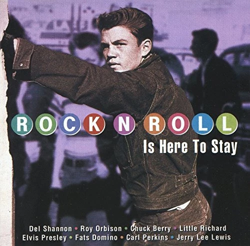 Jerry Lee Lewis - Rock`N`Roll Is Here To Stay CD (2002) Audio Quality Guaranteed