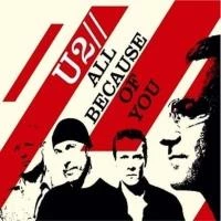 All Because of You DVD Pop (2004) U2 Quality Guaranteed Reuse Reduce Recycle