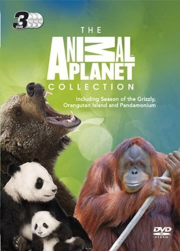 Animal Planet Collection Triple Pack DVD Special Interest (2013) ……