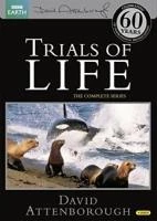 David Attenborough: The Trials Of Life DVD Special Interest (2002) Amazing Value
