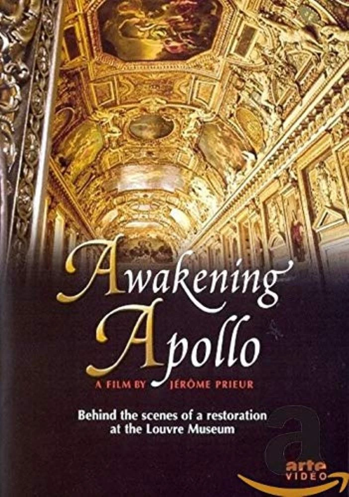 Awakening Apollo: Louvre Museum DVD (2005) New Free Royal Mail Delivery