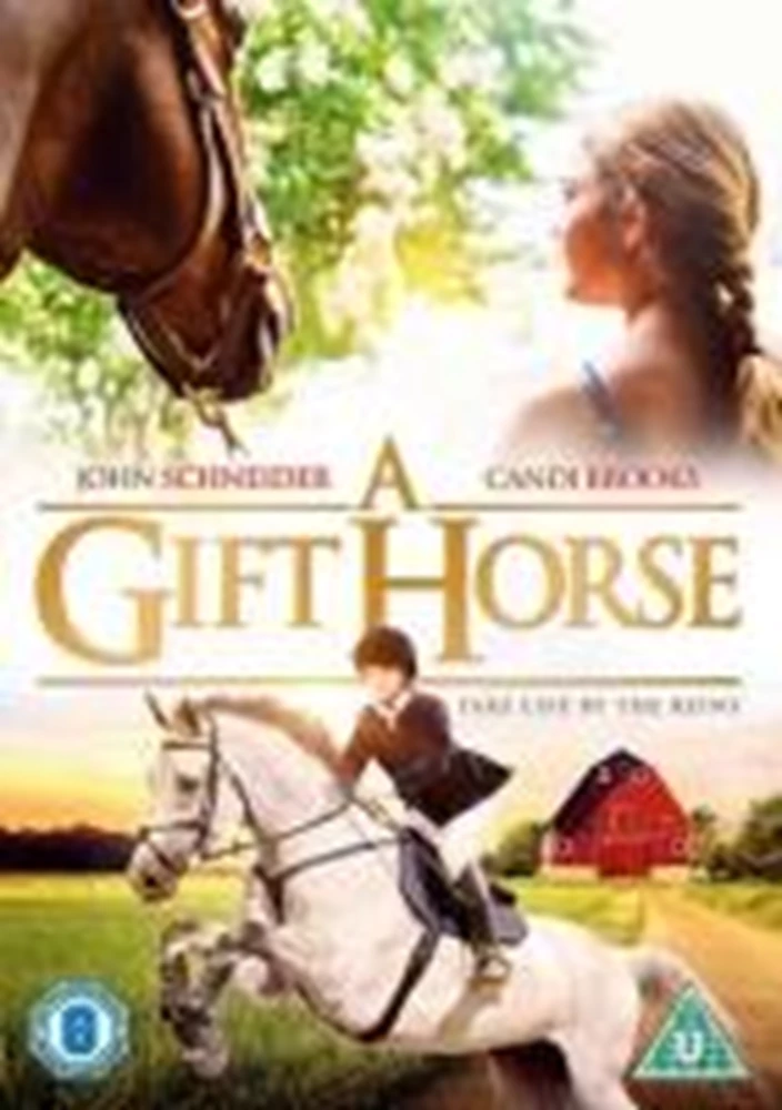 A Gift Horse DVD Children (2016) Tina Davey Quality Guaranteed Amazing Value - Image 2