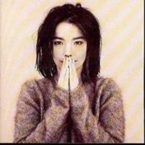 Bjork - Debut CD (1999) Audio Quality Guaranteed Reuse Reduce Recycle - Image 2