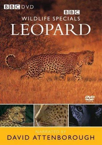 BBC Wildlife Specials: Leopard DVD Documentary (2004) David Attenborough