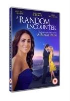 A Random Encounter DVD Comedy (2018) Michael Rady Free Royal Mail Delivery