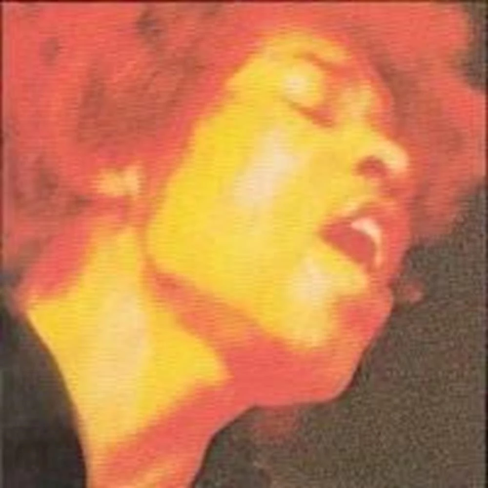 Jimi Hendrix - Electric Ladyland CD (1997) Audio Quality Guaranteed - Image 2