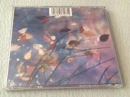 Erasure - Wild! CD (1989) Audio Quality Guaranteed Reuse Reduce Recycle - Image 2